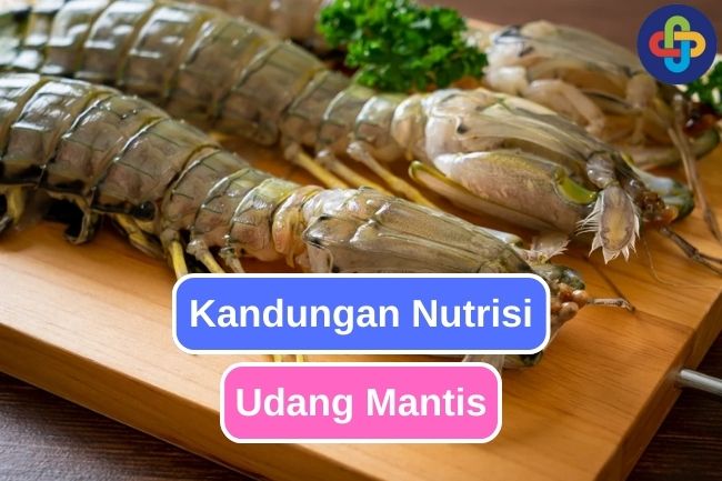 6 Jenis Nutrisi Yang Ada Dalam Udang Mantis